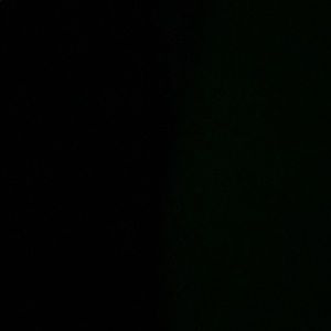 Meet your Posher, Lillian